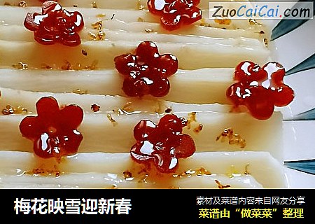 梅花映雪迎新春