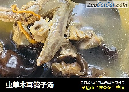 虫草木耳鸽子汤