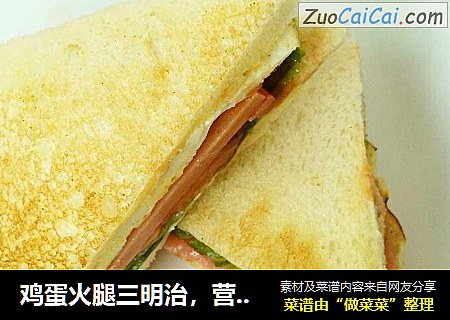 鸡蛋火腿三明治，营养饱腹又美味！