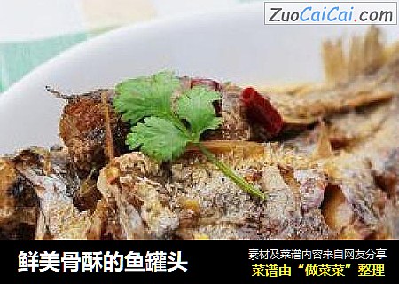 鲜美骨酥的鱼罐头