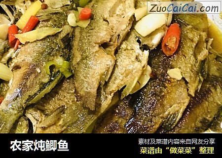 农家炖鲫鱼