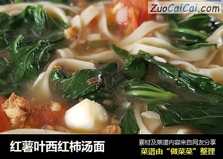 红薯叶西红柿汤面