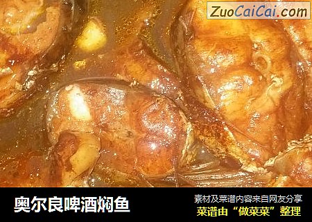 奥尔良啤酒焖鱼