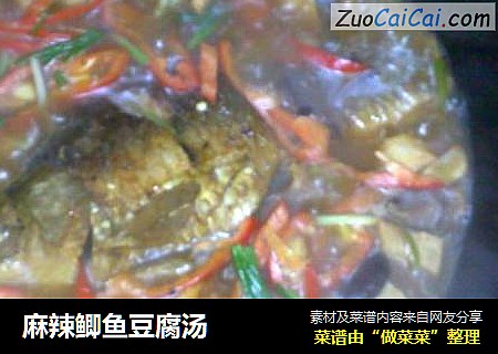 麻辣鲫鱼豆腐汤