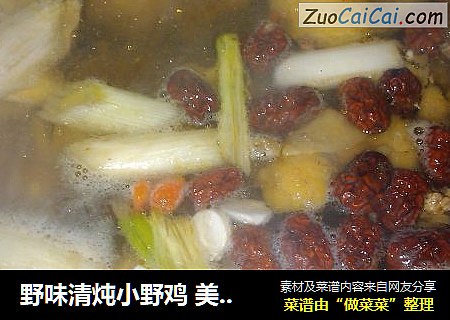 野味清炖小野鸡美味野鸡汤