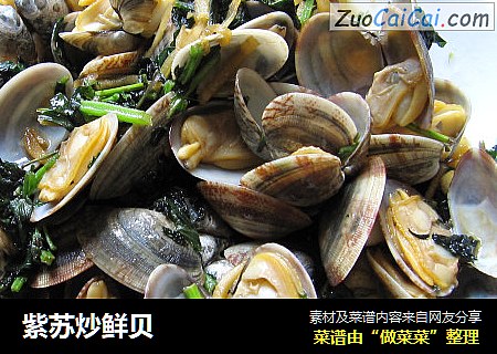紫苏炒鲜贝
