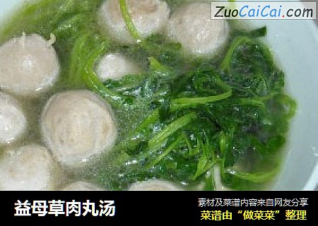 益母草肉丸汤