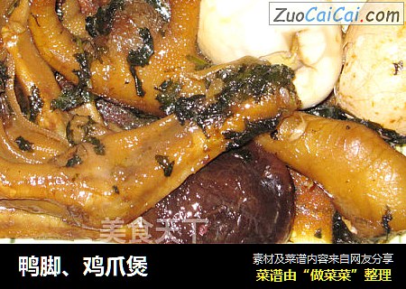 鸭脚、鸡爪煲