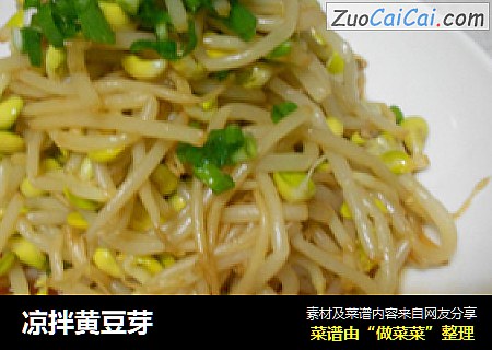 凉拌黄豆芽