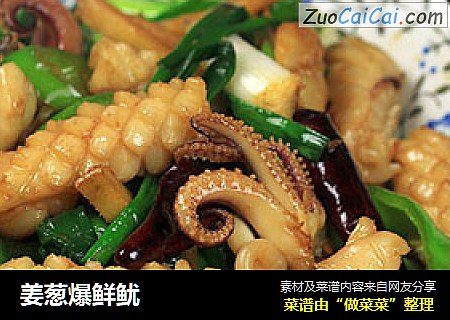 姜葱爆鲜鱿