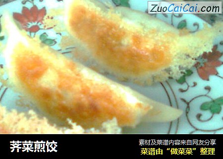 荠菜煎饺