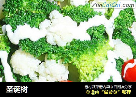 圣诞树