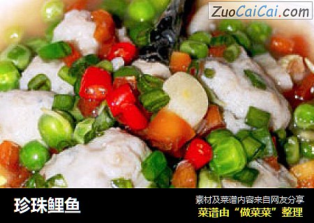 珍珠鲤鱼