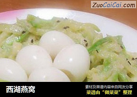 西湖燕窝
