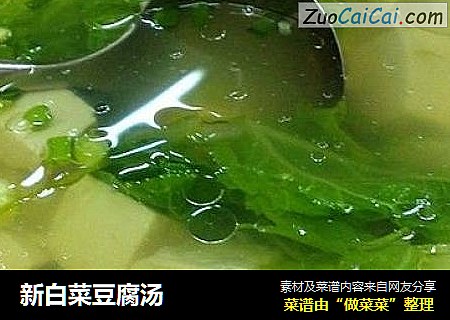 新白菜豆腐汤