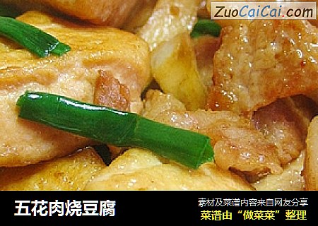 五花肉烧豆腐