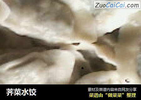 荠菜水饺