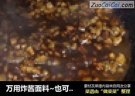 万用炸酱面料~也可以称之为臊子！
