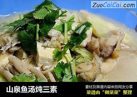 山泉鱼汤炖三素