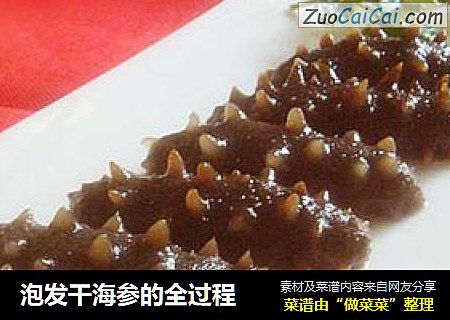 泡发干海参的全过程