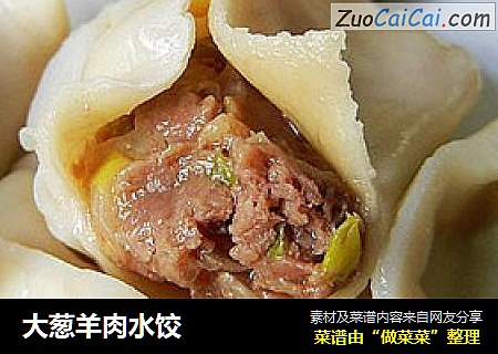 大葱羊肉水饺