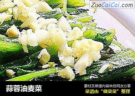 蒜蓉油麦菜
