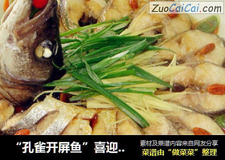 “孔雀开屏鱼”喜迎新春