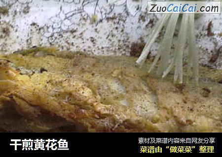 干煎黄花鱼