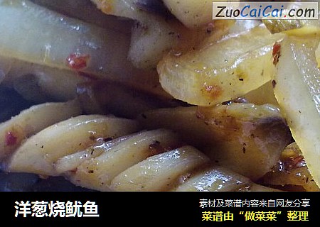 洋葱烧鱿鱼
