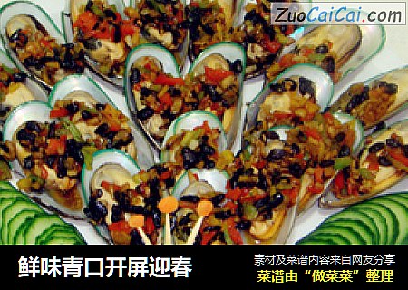 鲜味青口开屏迎春
