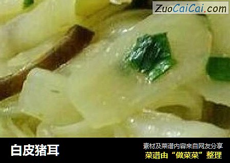 白皮猪耳
