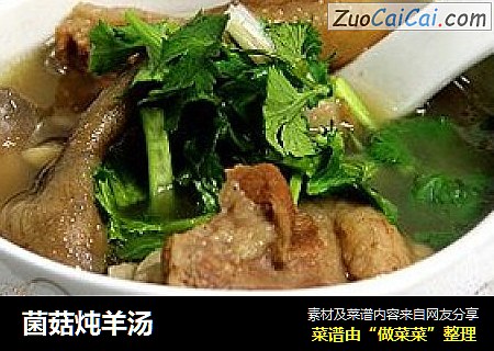 菌菇炖羊汤