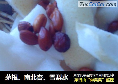 茅根、南北杏、雪梨水