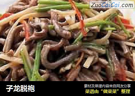 子龙脱袍