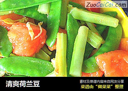 清爽荷兰豆