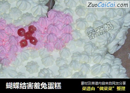 蝴蝶结害羞兔蛋糕