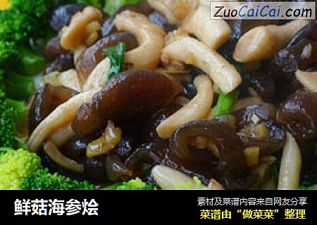 鲜菇海参烩
