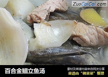 百合金鲴立鱼汤
