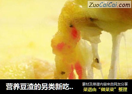营养豆渣的另类新吃法------创新芝士焗薯泥