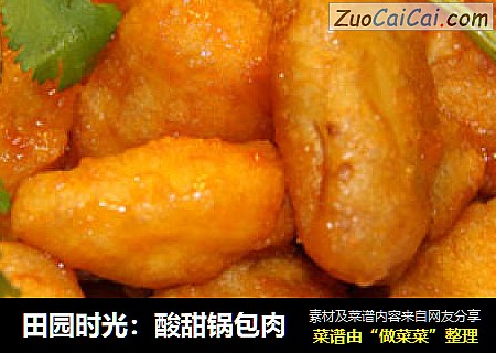田园时光：酸甜锅包肉