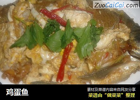 鸡蛋鱼