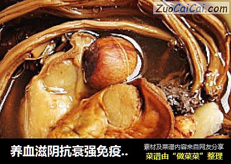 养血滋阴抗衰强免疫补钙低脂——茶树菇蚝豉汤
