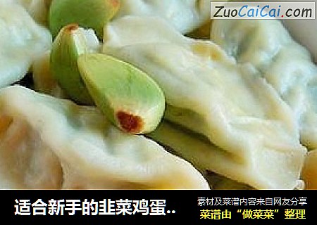 适合新手的韭菜鸡蛋素水饺