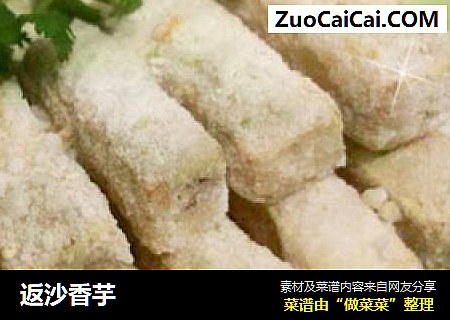 返沙香芋