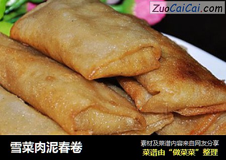 雪菜肉泥春卷