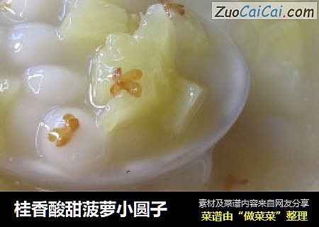 桂香酸甜菠萝小圆子
