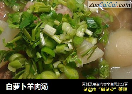 白萝卜羊肉汤