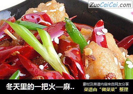 冬天里的一把火—麻辣鸡丁