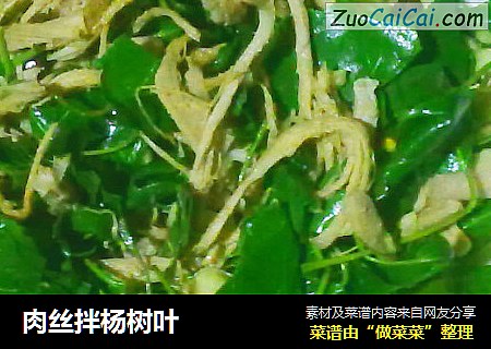 肉丝拌杨树叶