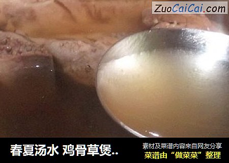春夏汤水 鸡骨草煲猪横脷汤
